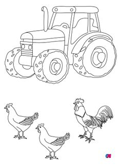 Mes premiers coloriages - À la ferme, un coq et des poules