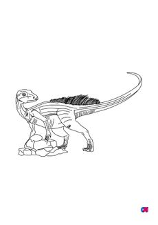 Coloriage de dinosaures - Abrictosaure