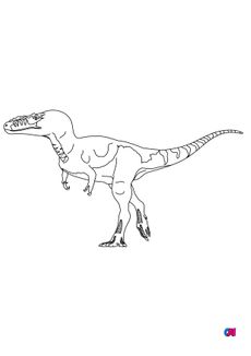 Coloriage de dinosaures - Alioramus