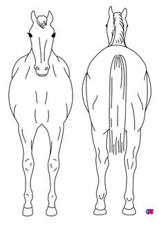 Coloriage de chevaux - Cheval, vue de face et vue arrière