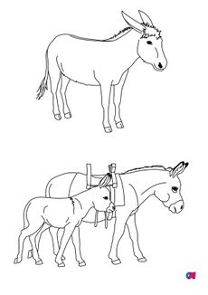 Coloriages d'animaux - Des ânes et un ânon 