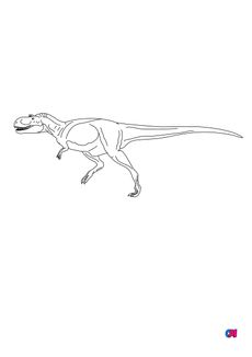 Coloriage de dinosaures - Albertosaure 2