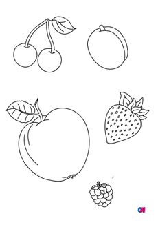 Mes premiers coloriages - Quelques fruits, fraise, framboise, abricot, cerises et pomme