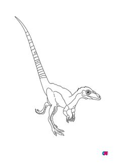 Coloriage de dinosaures - Sinosauropteryx