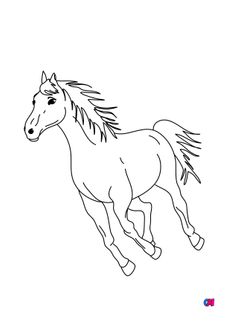 Coloriage de chevaux - Un cheval au galop en liberté