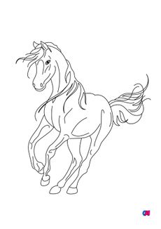 Coloriage de chevaux - Un cheval au grand galop