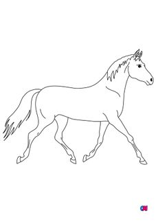 Coloriage de chevaux - Un cheval au petit trot