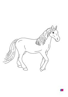 Coloriage de chevaux - Un cheval calme