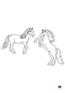Coloriage de chevaux - Un cheval et un cheval qui se cabre