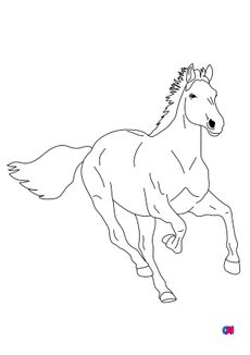 Coloriage de chevaux - Un cheval part au galop