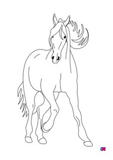 Coloriage de chevaux - Un cheval prêt à trotter