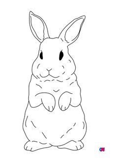 Coloriages d'animaux - Un lapin sur ses pattes arrières