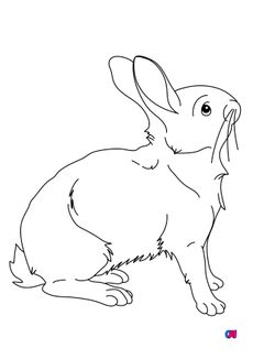 Coloriages d'animaux - Un lapin très attentif