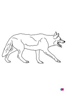 Coloriages d'animaux - Un loup en solitaire