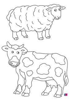 Mes premiers coloriages - Un mouton et une vache