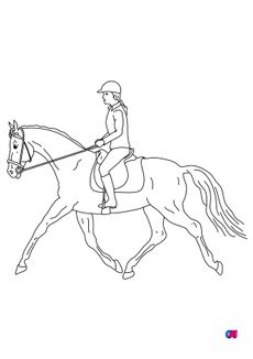 Coloriage de chevaux - Une cavalière sur son cheval