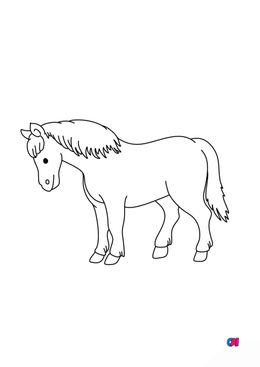 Coloriage de chevaux - Un cheval