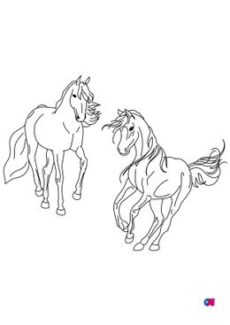 Coloriage de chevaux - Deux chevaux, l'un au pas et l'autre au galop
