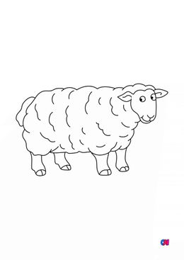 Coloriages d'animaux - Un mouton