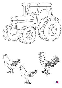 Mes premiers coloriages - À la ferme, un coq et des poules