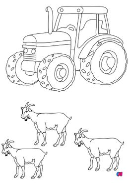 Mes premiers coloriages - À la ferme, un tracteur et des chèvres