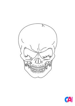 Coloriages Halloween - Crâne 2