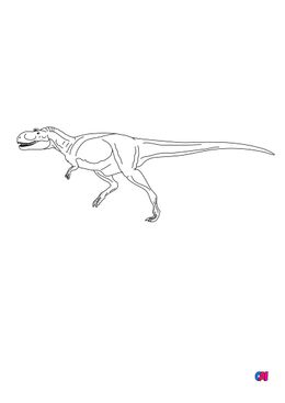 Coloriage de dinosaures - Albertosaure 2