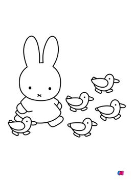 Coloriage Miffy - Miffy et ses canetons