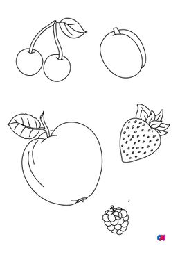 Mes premiers coloriages - Quelques fruits, fraise, framboise, abricot, cerises et pomme