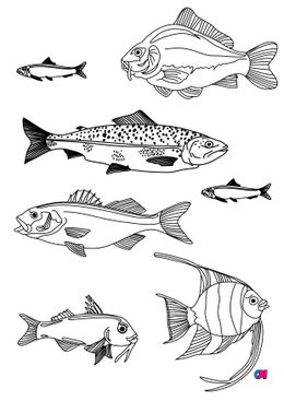 Coloriages d'animaux - Quelques poissons