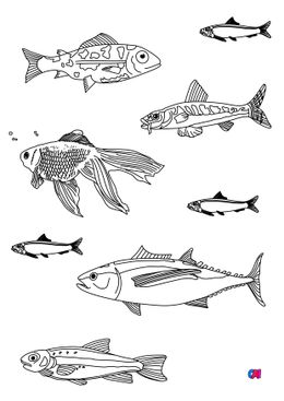 Coloriages d'animaux - Quelques poissons 2