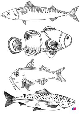 Coloriages d'animaux - Quelques poissons 3