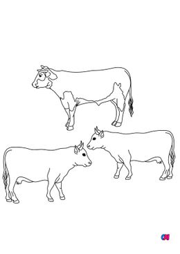 Coloriages d'animaux - Un bœuf et des vaches