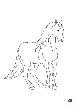 Coloriage de chevaux - Un cheval attentif