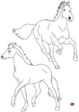 Coloriage de chevaux - Un cheval au galop et un cheval au pas