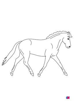Coloriage de chevaux - Un cheval bien concentré