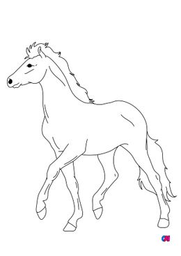 Coloriage de chevaux - Un cheval en mouvement