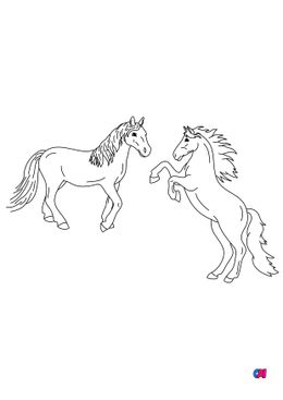 Coloriage de chevaux - Un cheval et un cheval qui se cabre