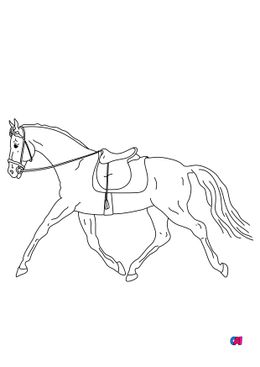 Coloriage de chevaux - Un cheval prêt à être monté