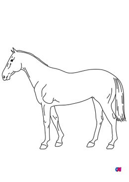 Coloriage de chevaux - Un cheval, vue de profil