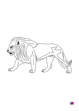 Coloriages d'animaux - Un lion