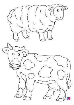 Mes premiers coloriages - Un mouton et une vache