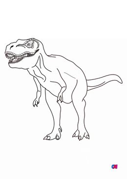 Coloriage de dinosaures - T-Rex