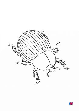 Coloriages d'animaux - Un scarabée