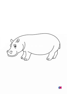Coloriages d'animaux - Un Hippopotame