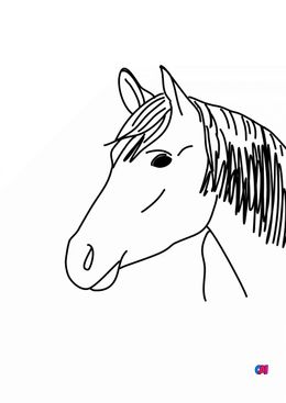 Coloriage de chevaux - Cheval de face