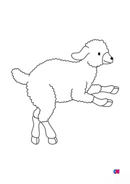 Coloriages d'animaux - Un agneau